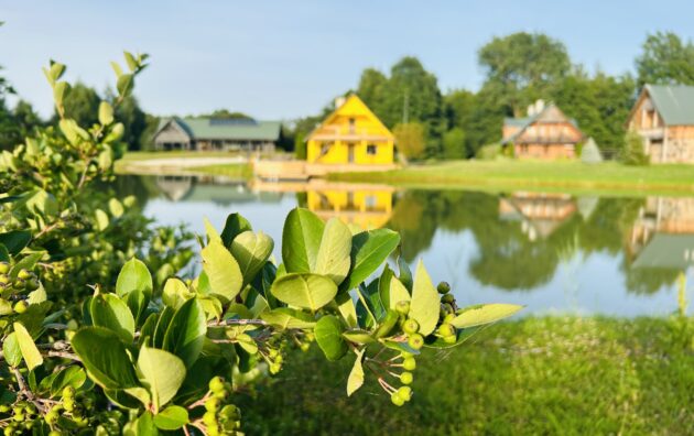 image 50455041 1 1 scaled