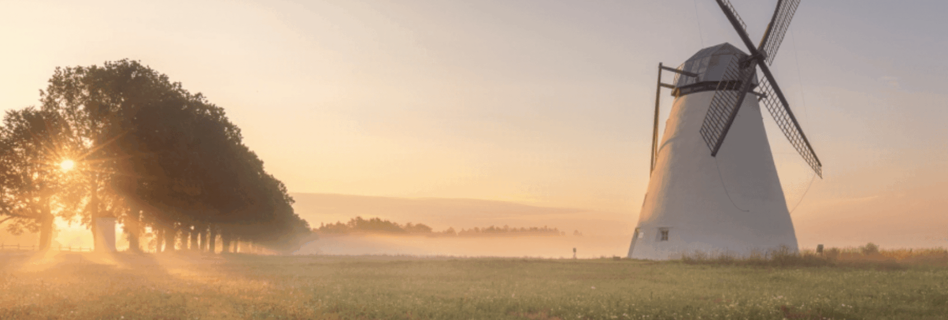 106458835 10158195690160865 3808099628170556772 o 4 2